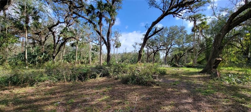 Recently Sold: $125,000 (5.17 acres)