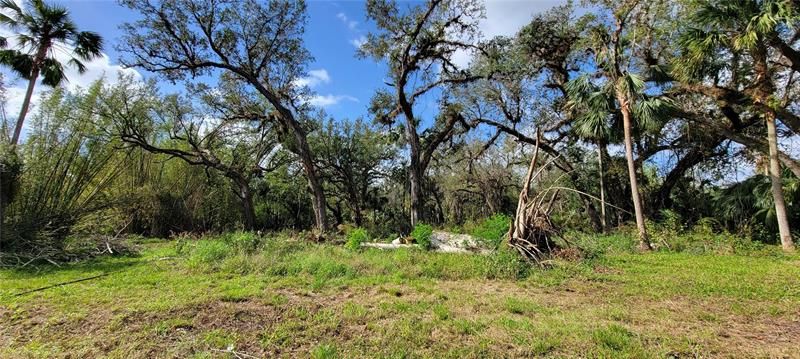 Recently Sold: $125,000 (5.17 acres)