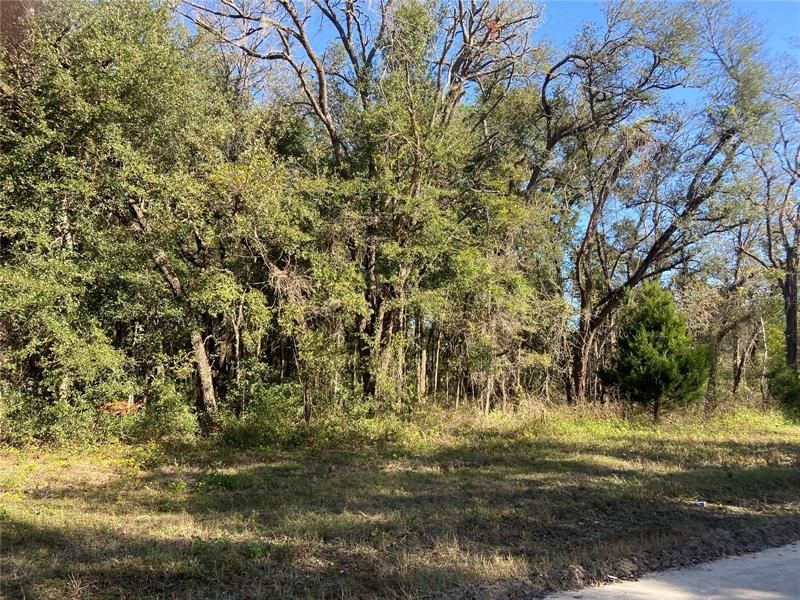 Recently Sold: $22,500 (1.00 acres)