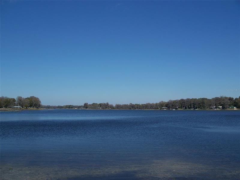 Tsala Apopka Lake