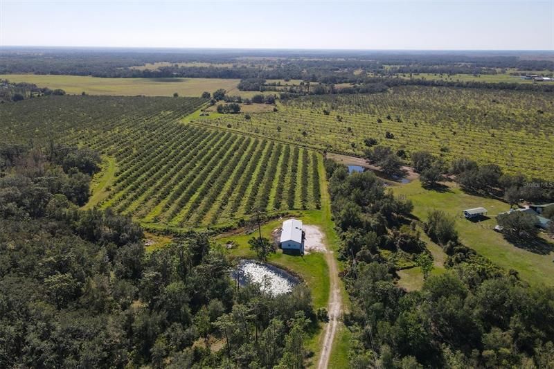 Recently Sold: $1,300,000 (123.09 acres)