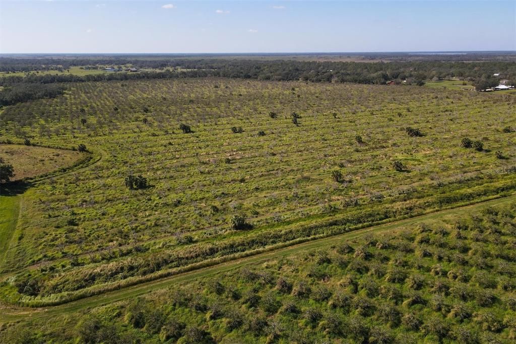 Vendido Recientemente: $1,300,000 (123.09 acres)