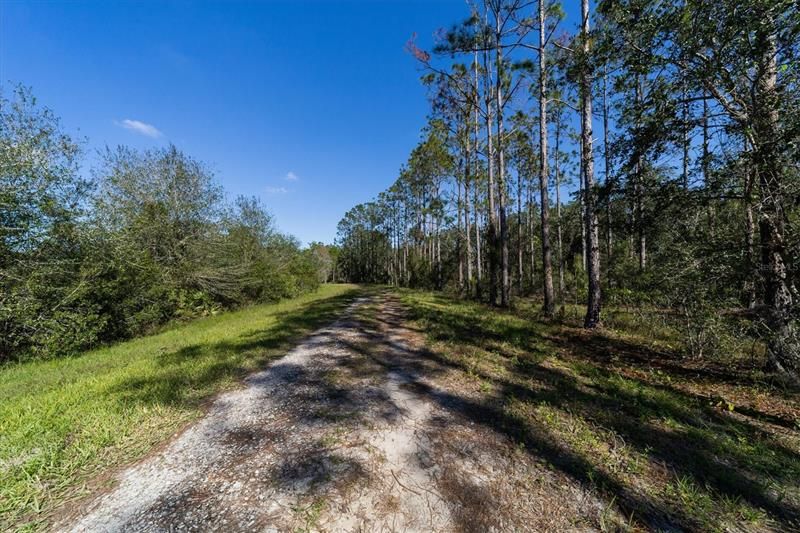 Recently Sold: $1,300,000 (123.09 acres)