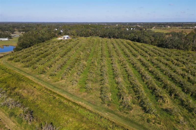 Recently Sold: $1,300,000 (123.09 acres)