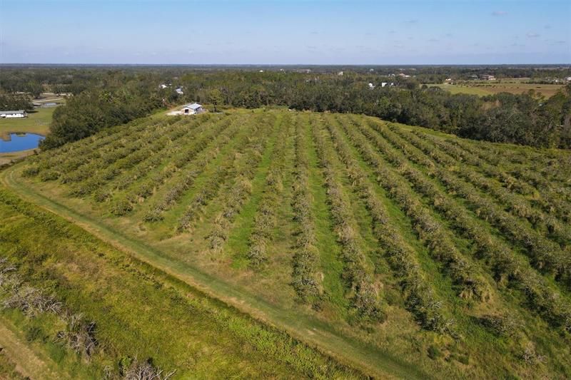 Недавно продано: $1,300,000 (123.09 acres)