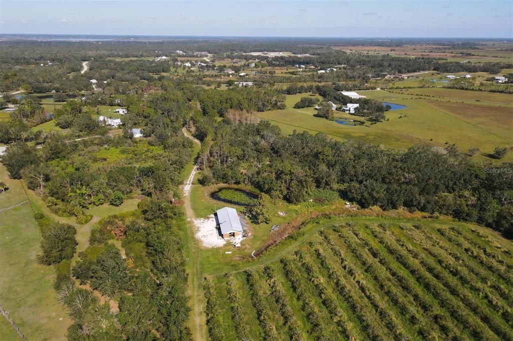 Aerial of Workshop and Trees