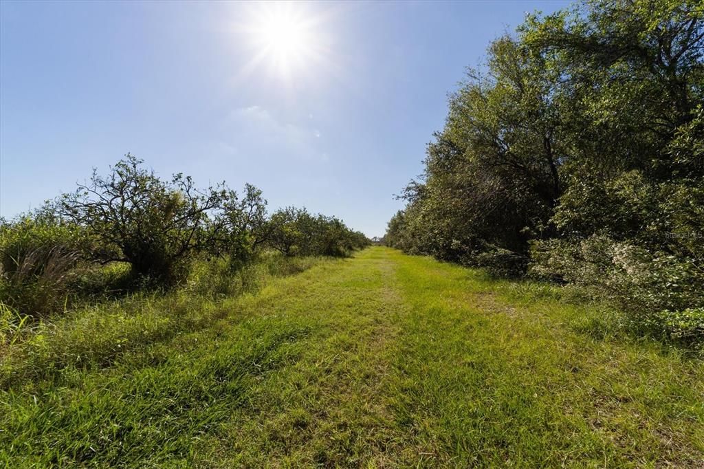 Recently Sold: $1,300,000 (123.09 acres)