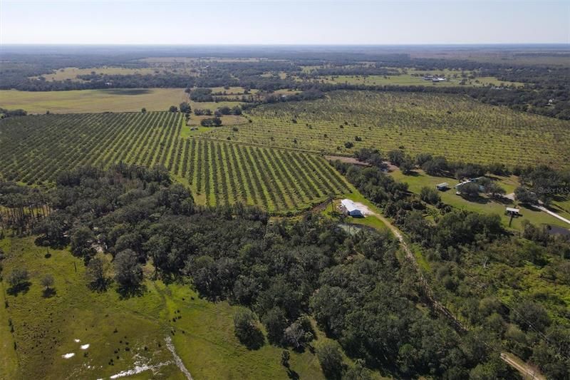 Recently Sold: $1,300,000 (123.09 acres)