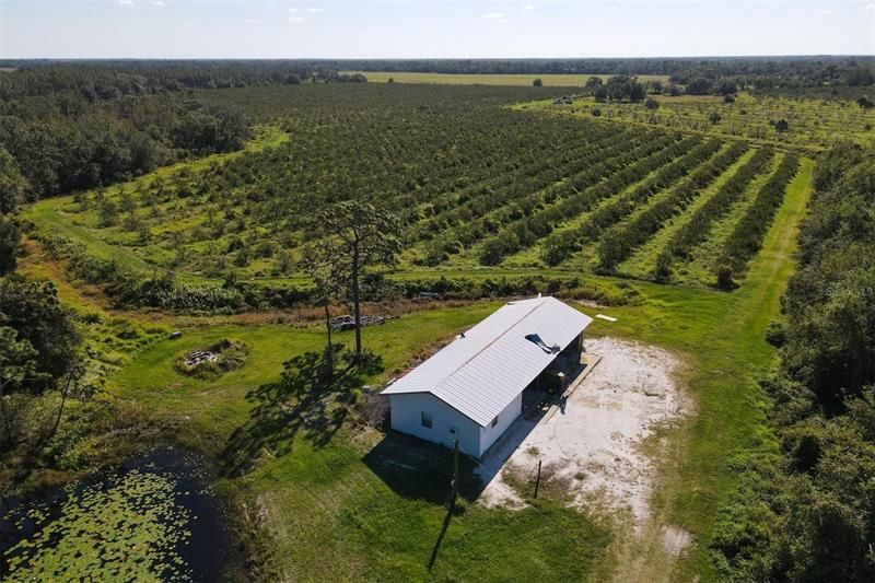 Recently Sold: $1,300,000 (123.09 acres)