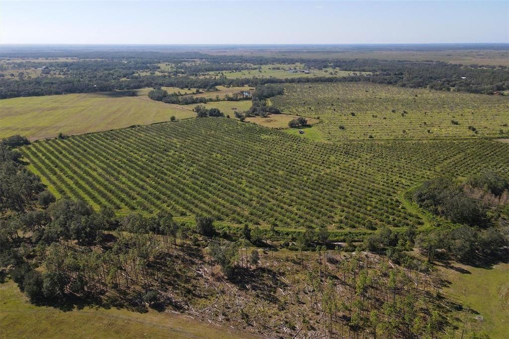 Недавно продано: $1,300,000 (123.09 acres)