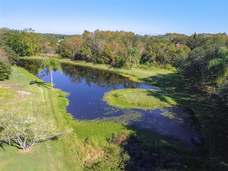 Ariel view of the pond