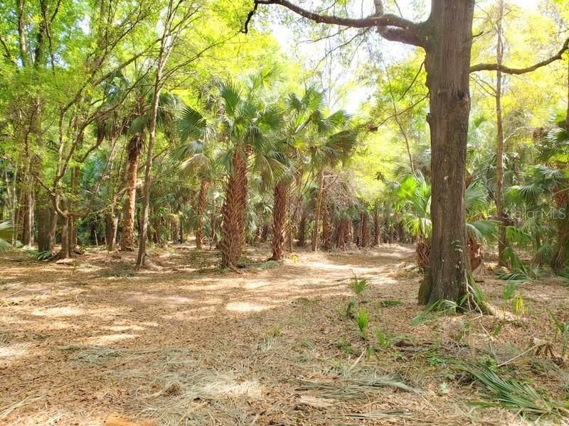 Vendido Recientemente: $69,900 (5.22 acres)