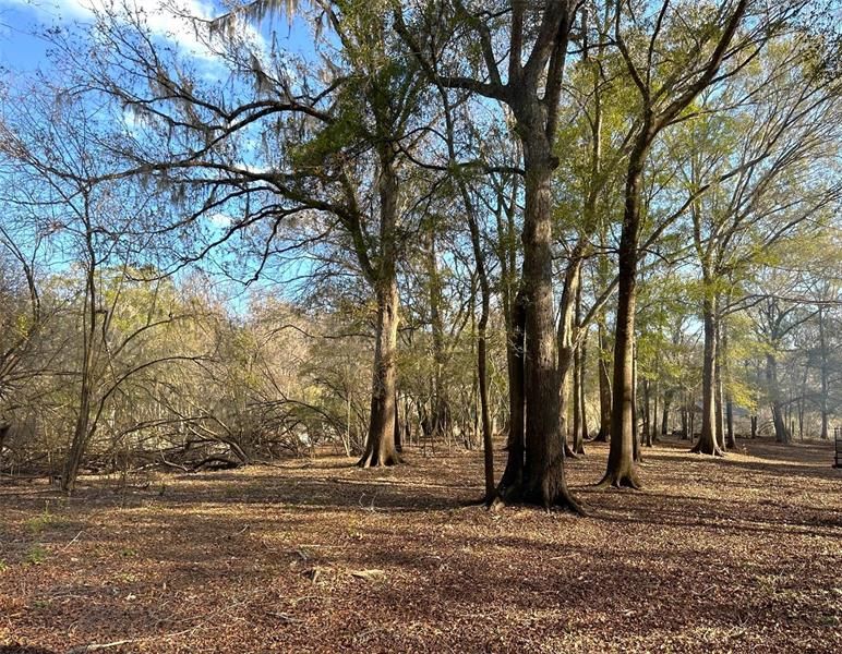 Recently Sold: $349,000 (7.00 acres)