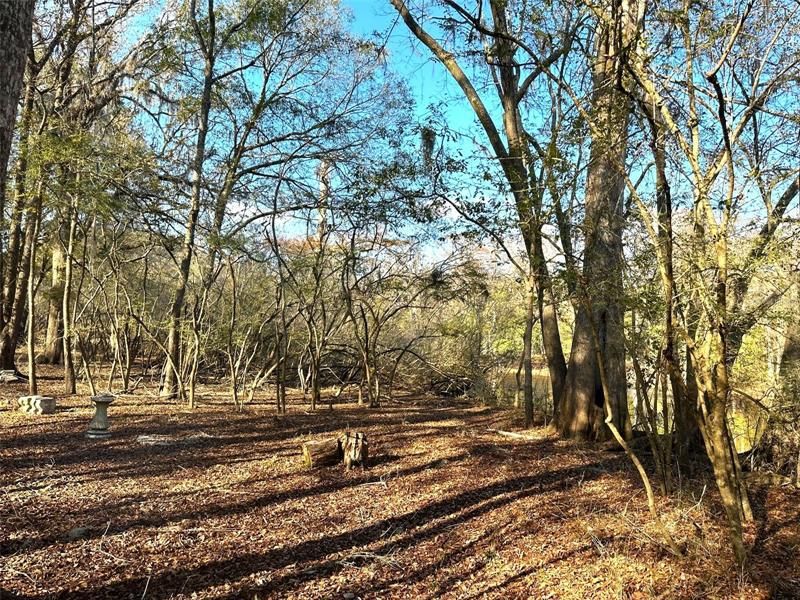 Vendido Recientemente: $349,000 (7.00 acres)