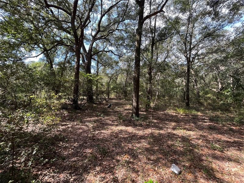 Recently Sold: $97,500 (4.90 acres)