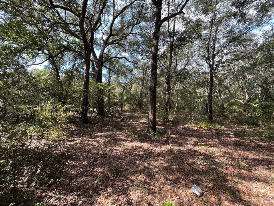 Vendido Recientemente: $97,500 (4.90 acres)