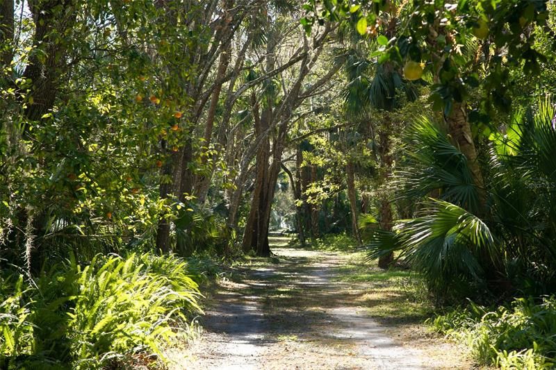 Road runs parallel to canal and leads to the lake