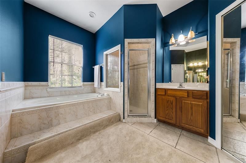 Master Bath with saoking tub and separate shower