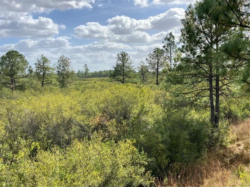 Active With Contract: $549,900 (434.55 acres)