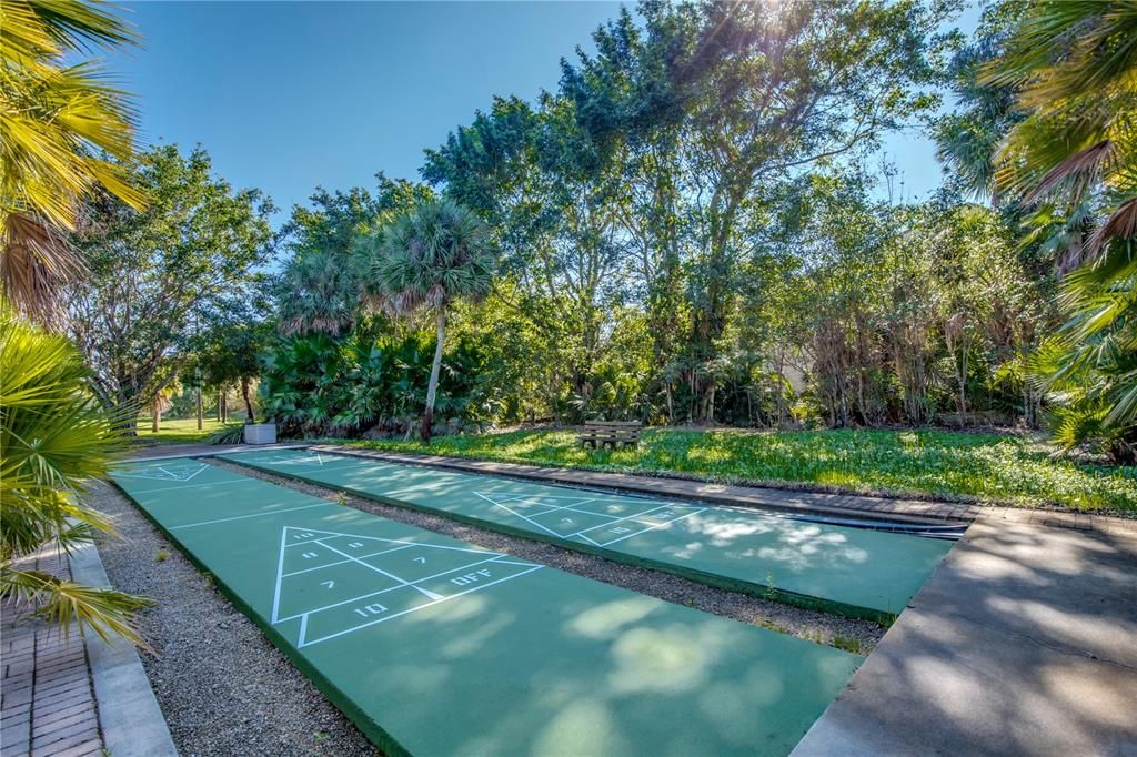 Shuffleboard