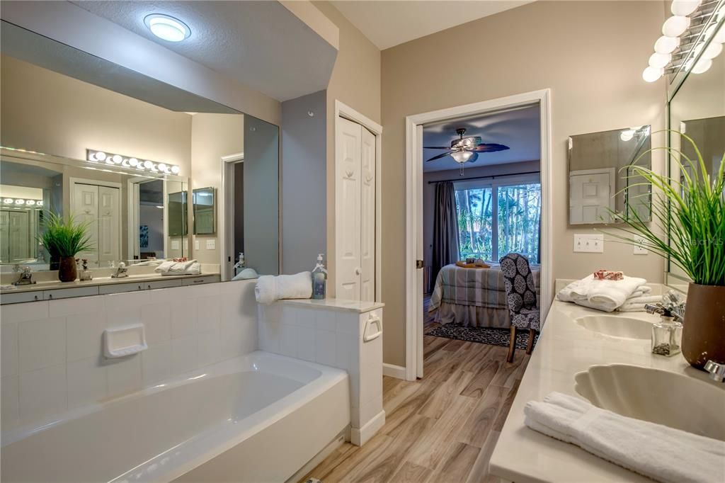 Soaking Tub/Linen Closet