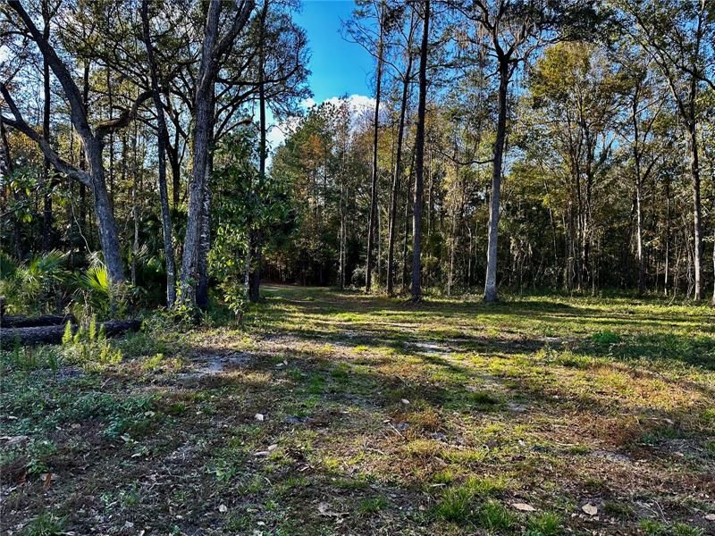 Recently Sold: $125,000 (5.07 acres)