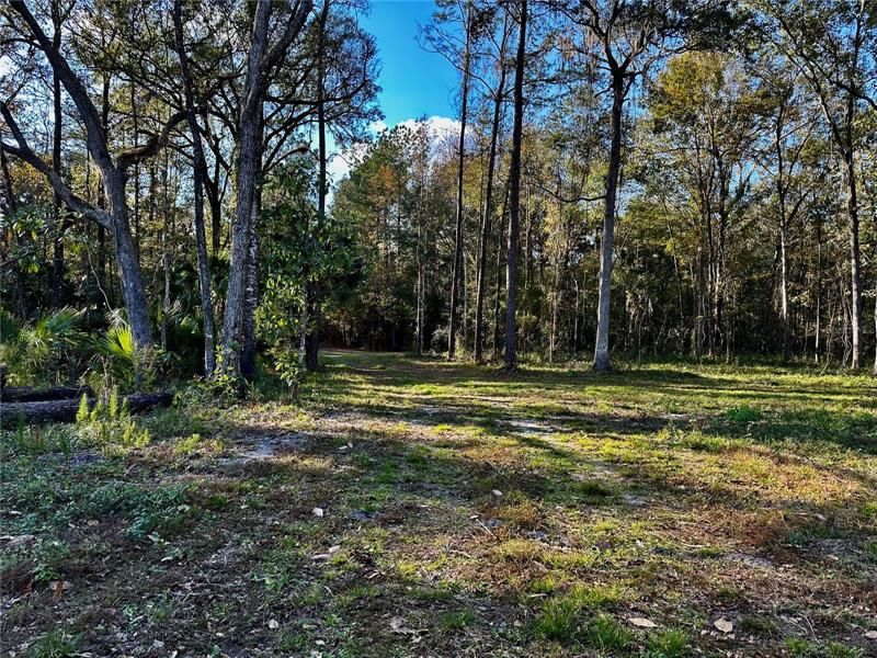 Vendido Recientemente: $125,000 (5.07 acres)