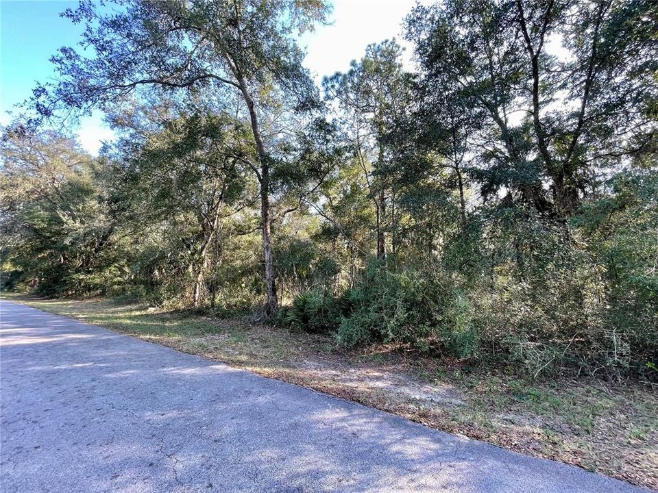 Vendido Recientemente: $10,900 (0.22 acres)