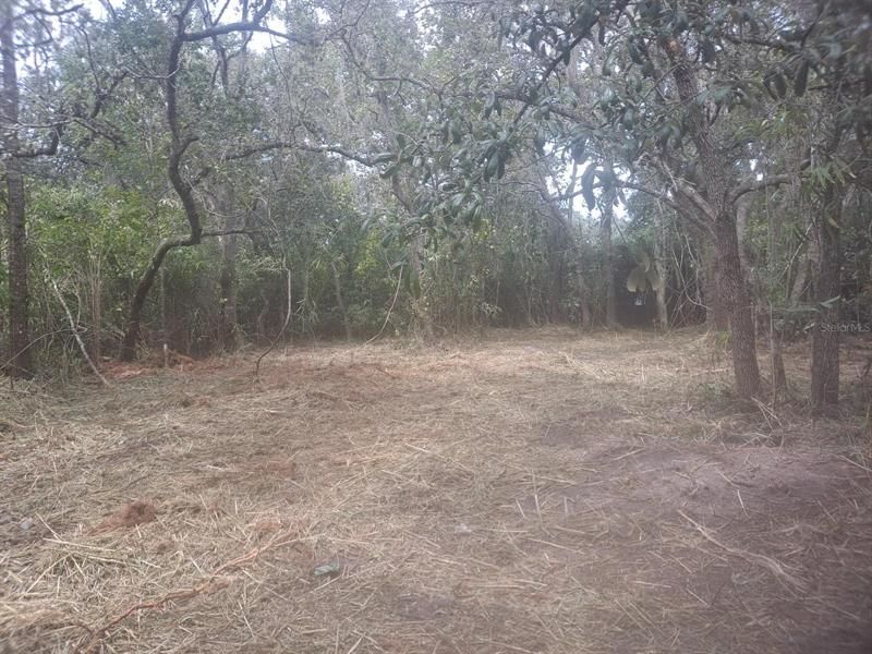 Recently Sold: $35,000 (0.53 acres)