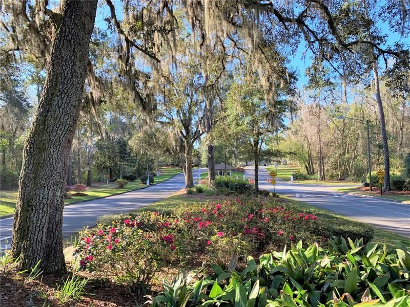 Turkey Creek Main Entrance