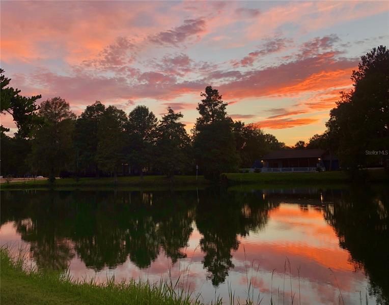 Golf Course Pond