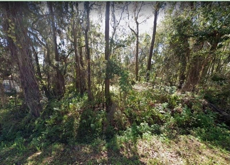 Recently Sold: $13,900 (0.16 acres)