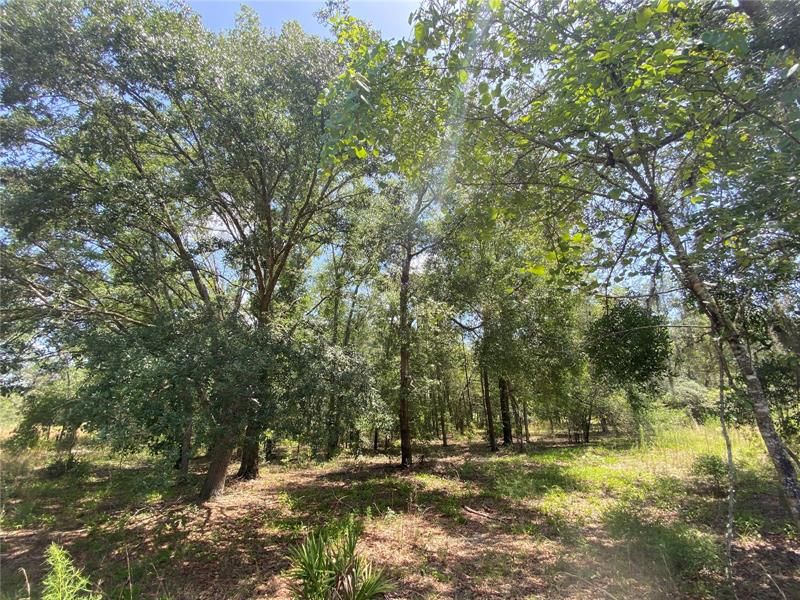 Recently Sold: $79,900 (5.75 acres)