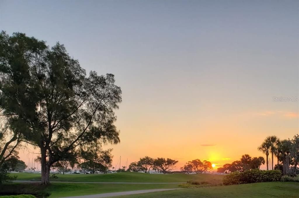 待售: $350,000 (0 贝兹, 0 浴室, 0 平方英尺)