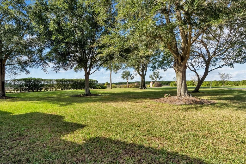 Unit is adjacent to a community green space