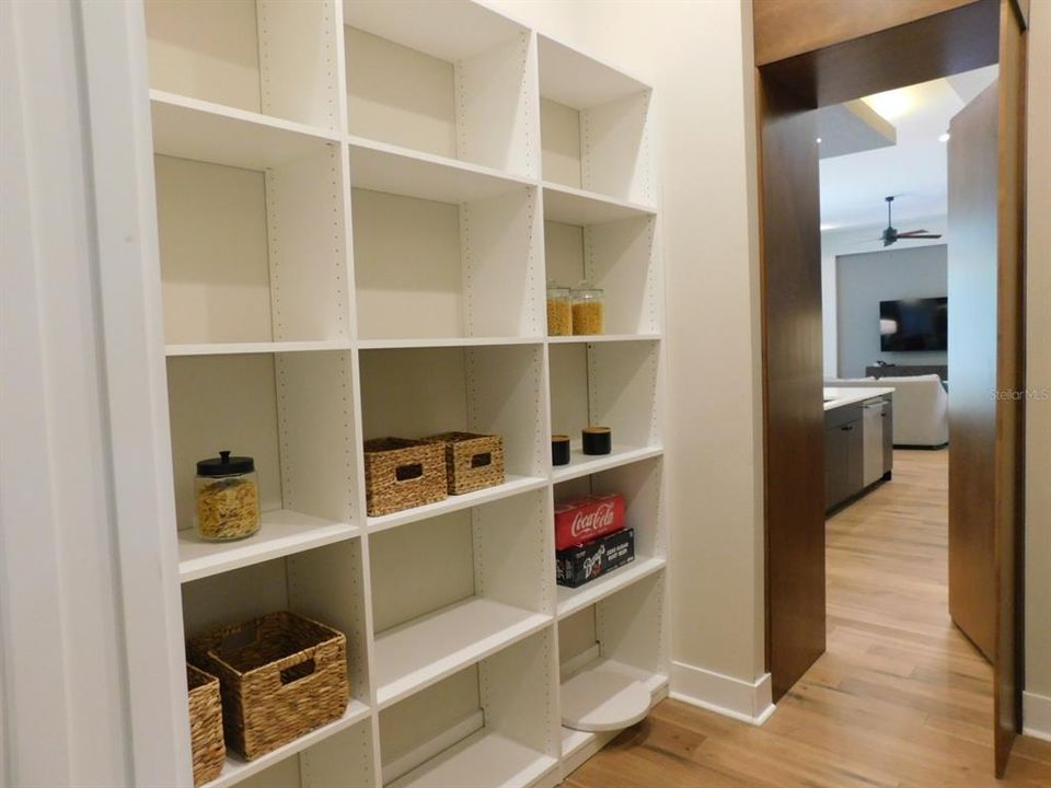 Hidden Pantry