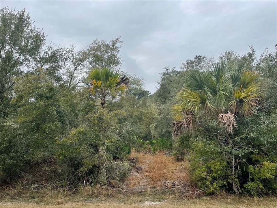 Recently Sold: $23,000 (1.47 acres)