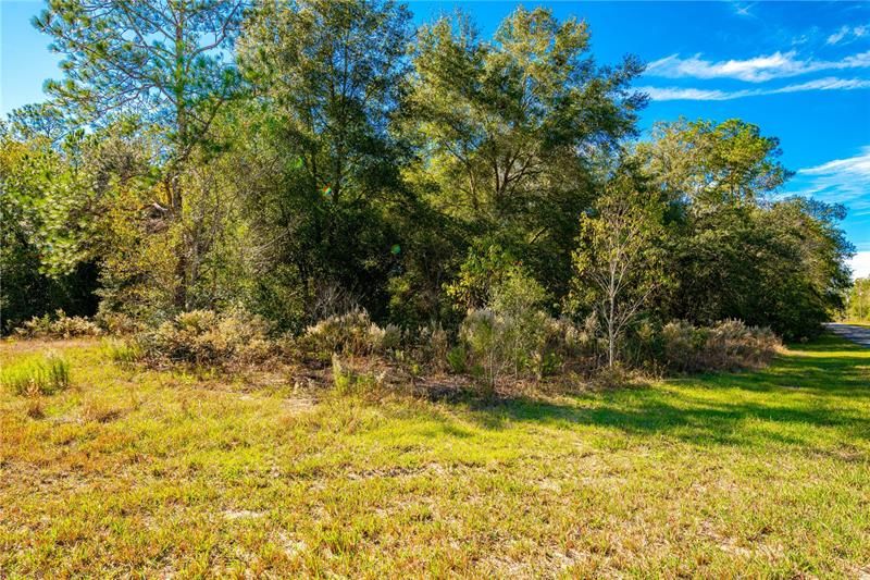 Recently Sold: $11,800 (0.28 acres)