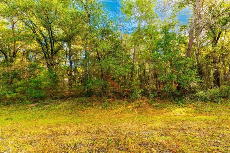 Recently Sold: $10,200 (0.24 acres)
