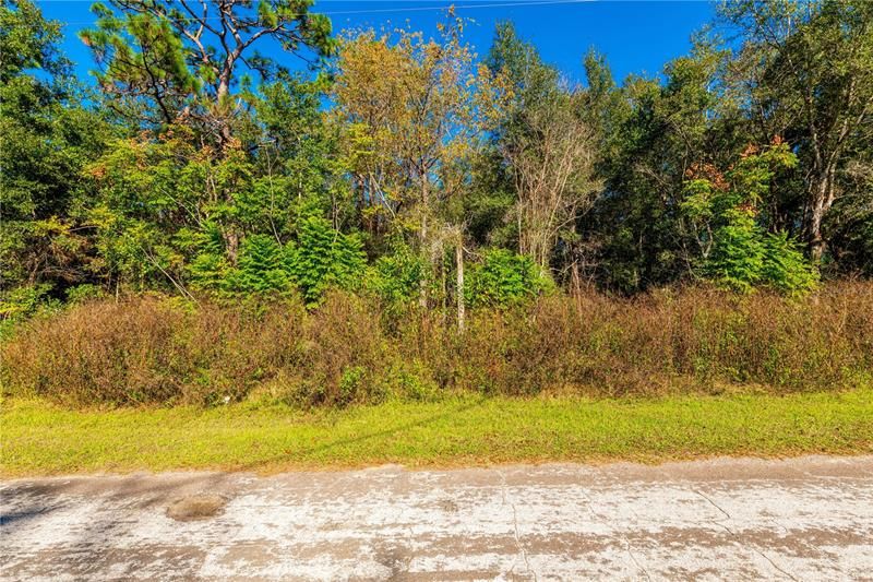 Recently Sold: $11,700 (0.24 acres)