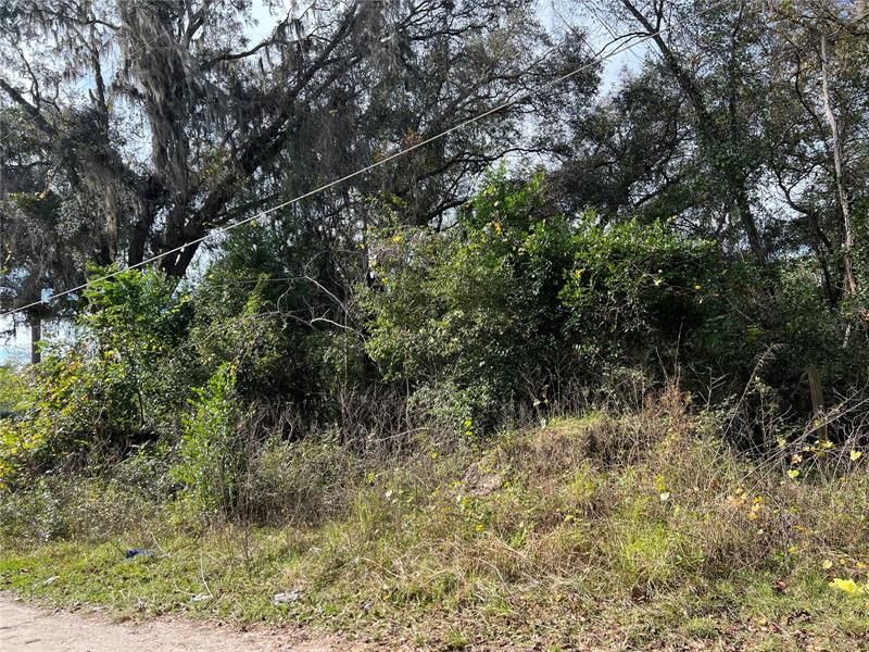 Vendido Recientemente: $9,900 (0.23 acres)