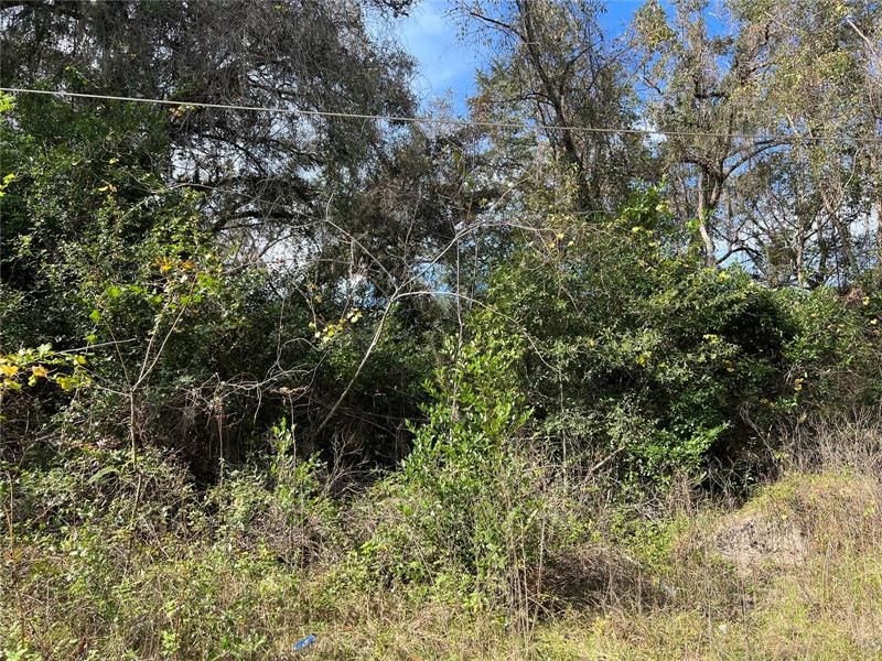 Vendido Recientemente: $9,900 (0.23 acres)