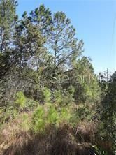 En Venta: $125,000 (5.00 acres)