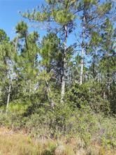 En Venta: $125,000 (5.00 acres)