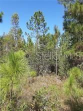 En Venta: $187,500 (7.50 acres)