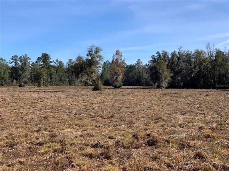 Recently Sold: $449,000 (90.00 acres)