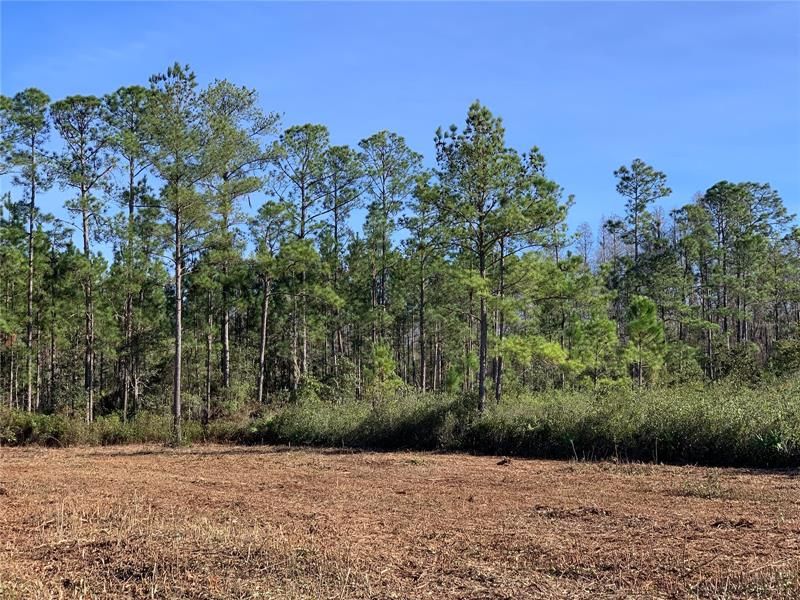 Recently Sold: $449,000 (90.00 acres)