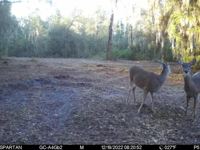 Vendido Recientemente: $449,000 (90.00 acres)