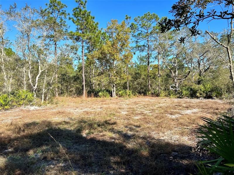Recently Sold: $190,000 (25.02 acres)