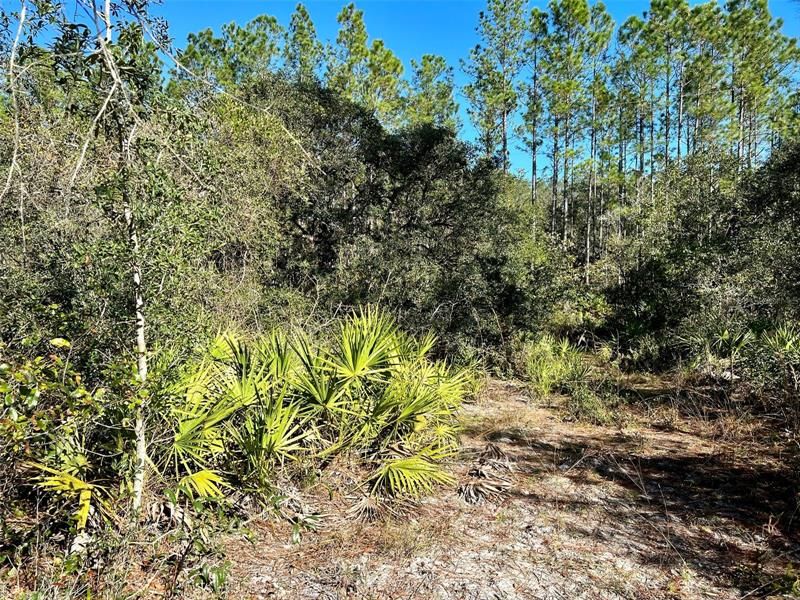 Recently Sold: $190,000 (25.02 acres)